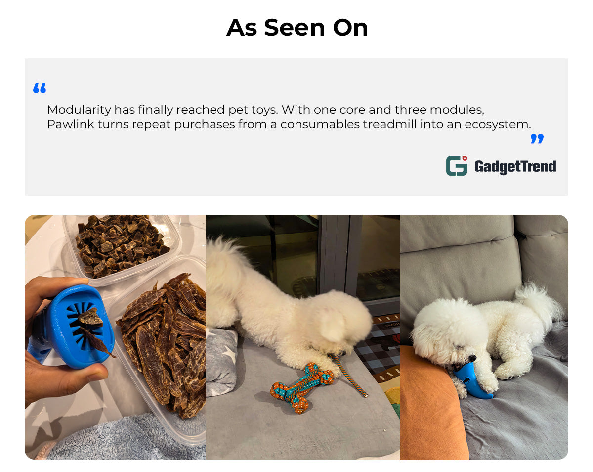 Pawlink system scene